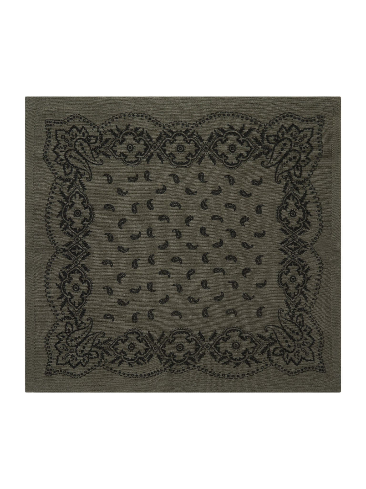 Adelina Paisley Knit Scarf - Army