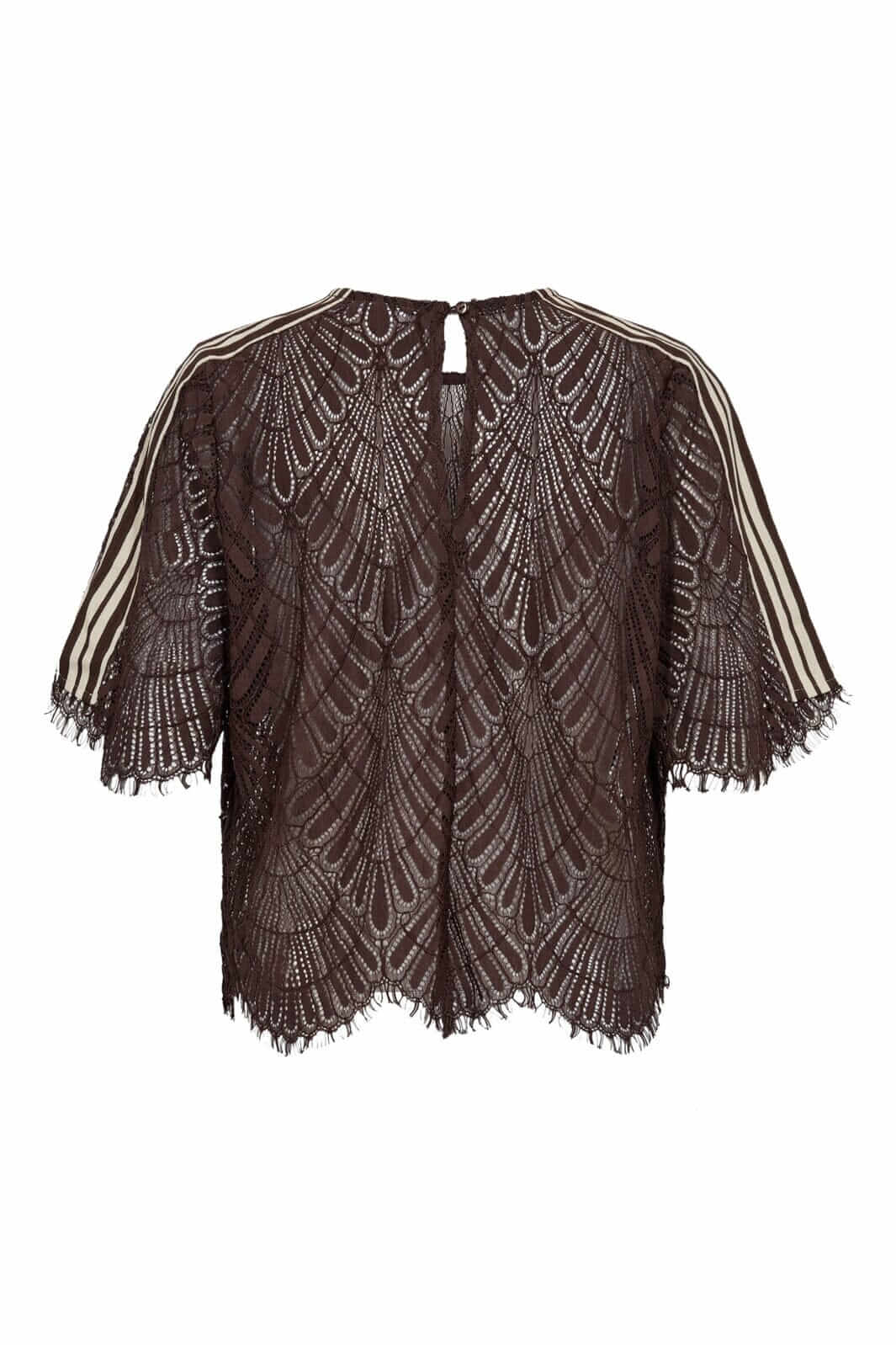 LetiCC Lace Blouse - Dark Brown