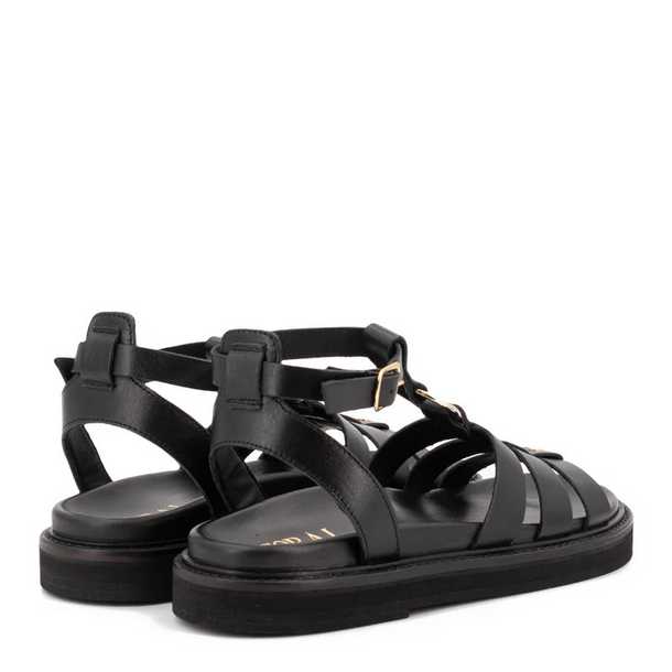 TL-Naxos - Negro