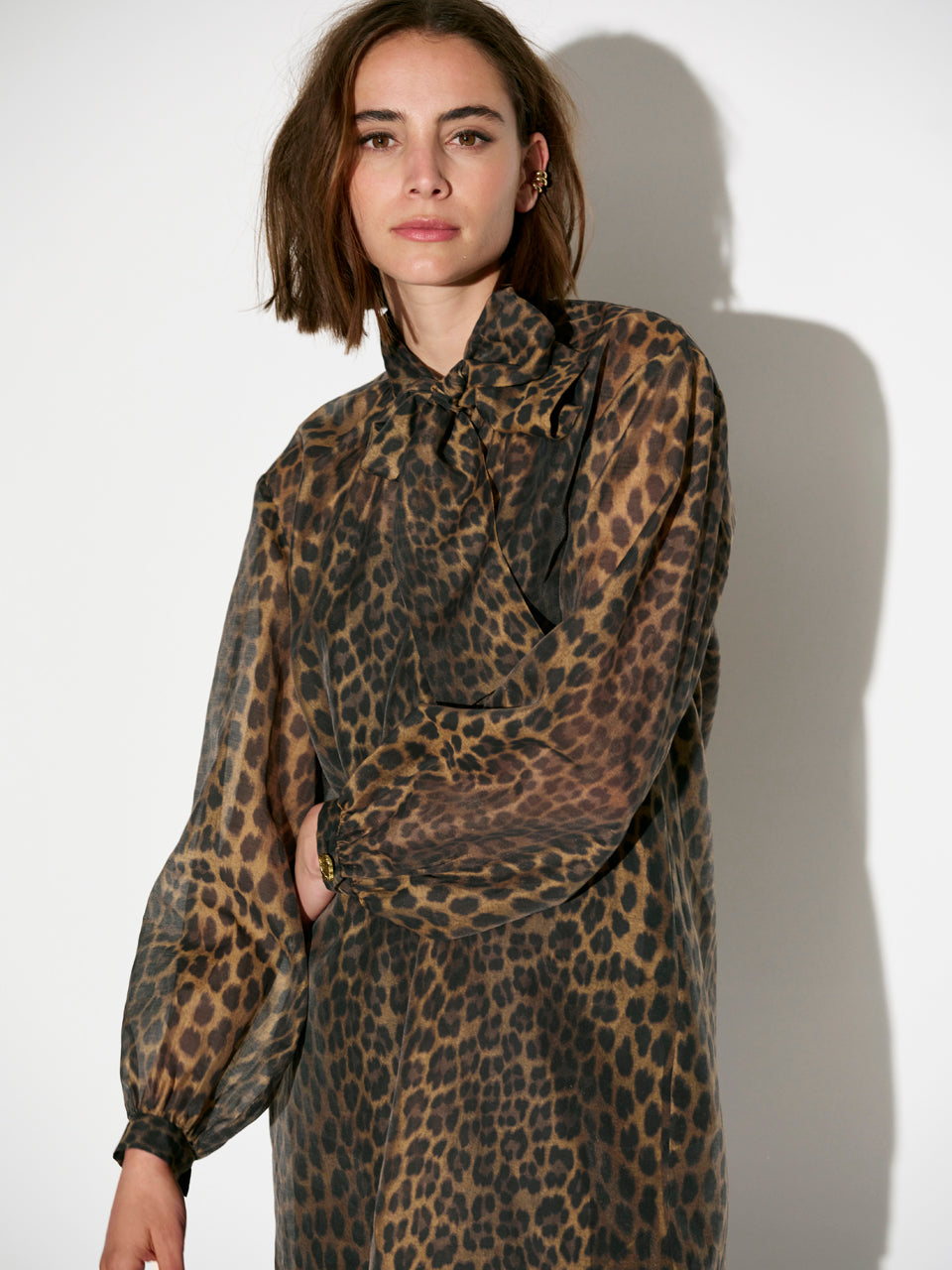 Leigh Leopard Dress - Multi