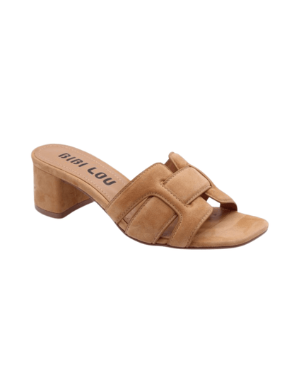 Mules - Camel