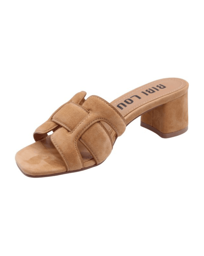 Mules - Camel