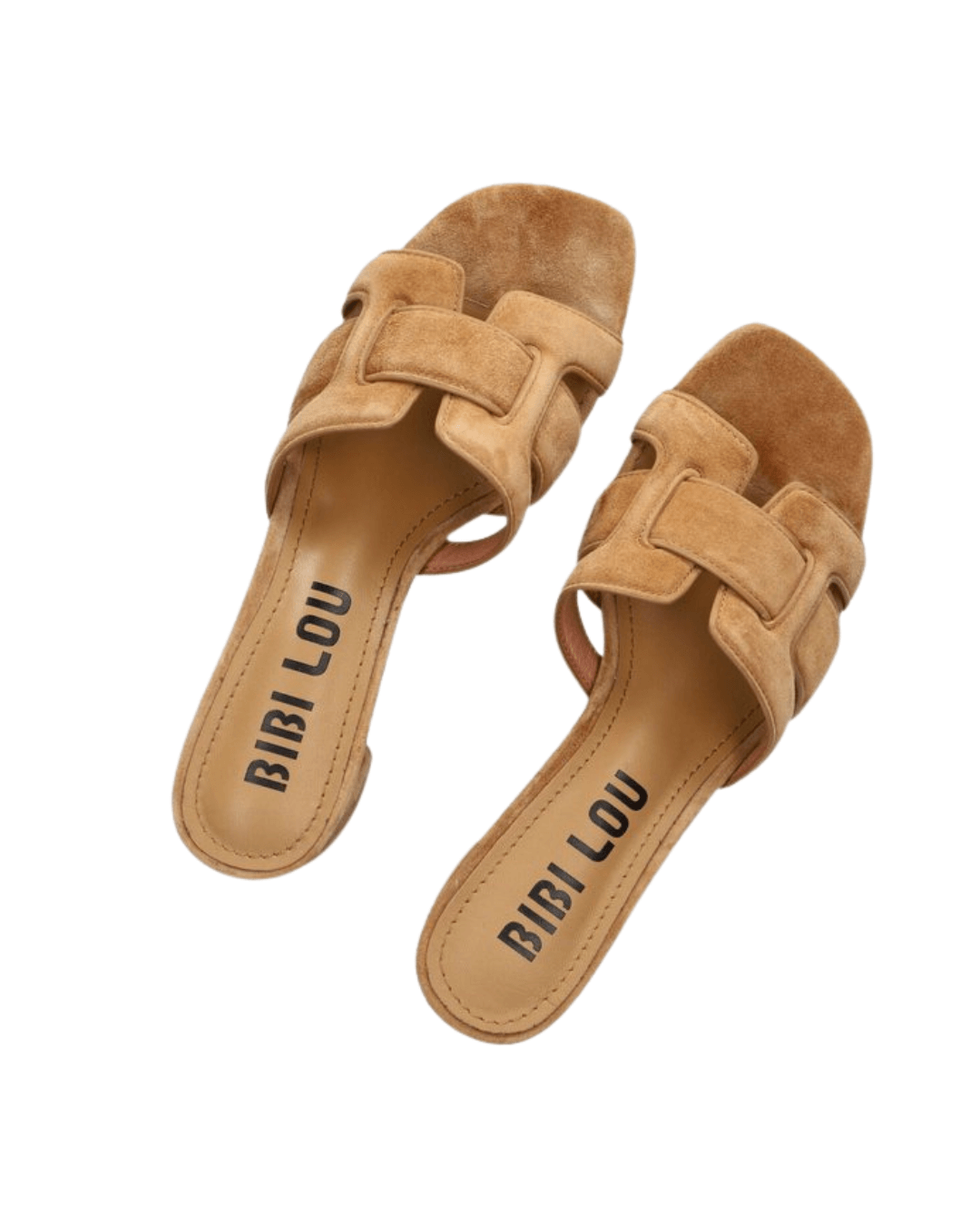 Mules - Camel