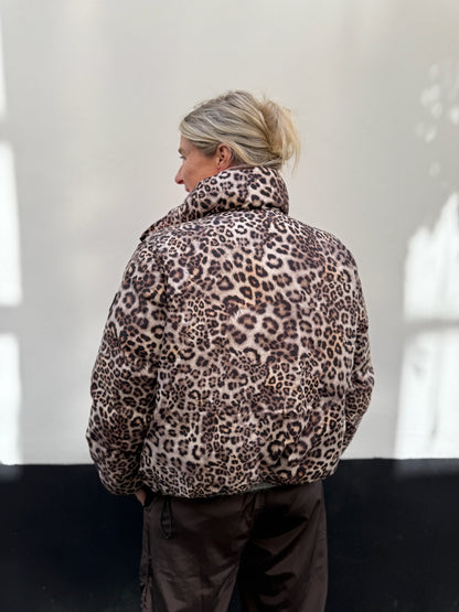 Lotta - Leo
