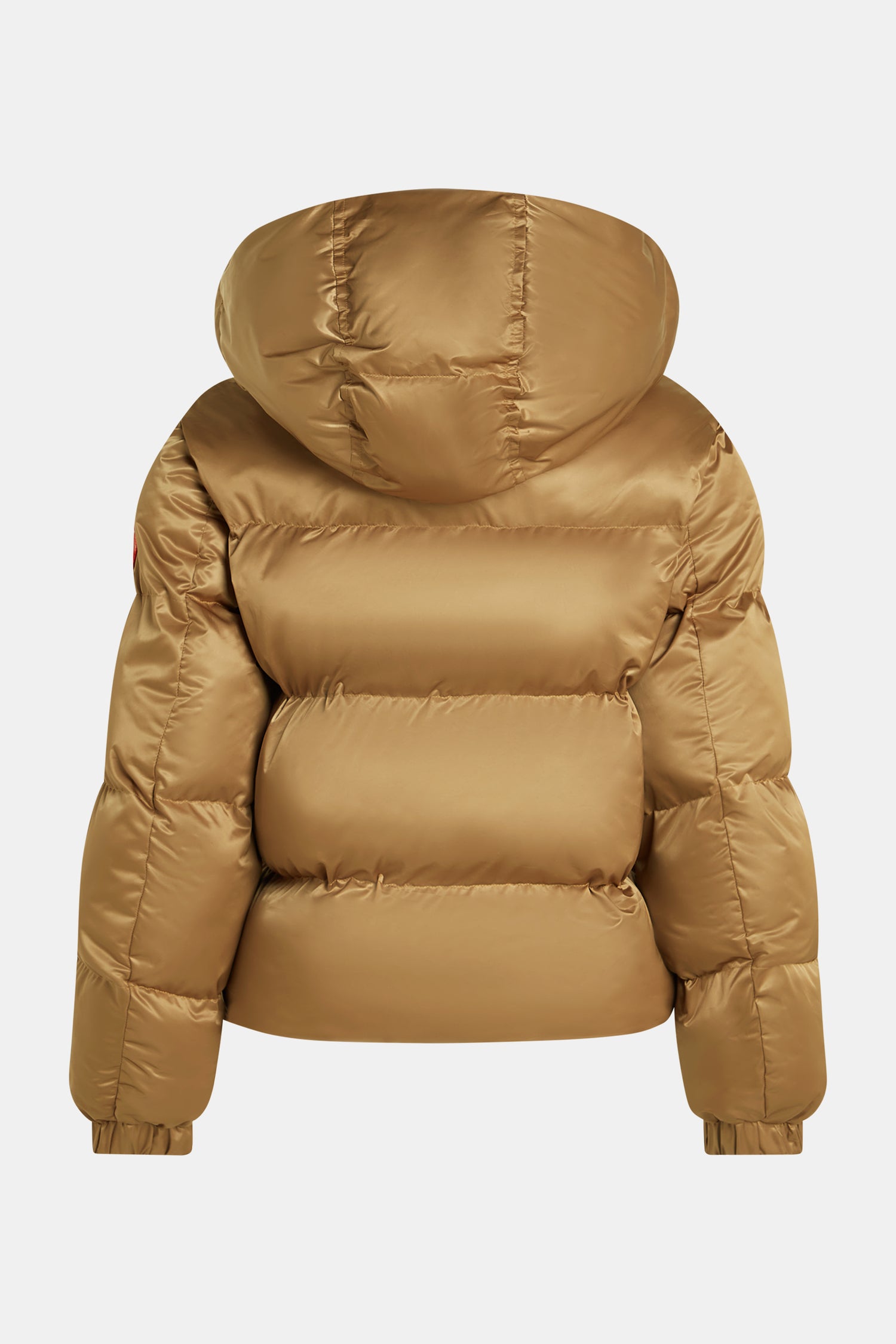 W25C291 - Camel Tomato