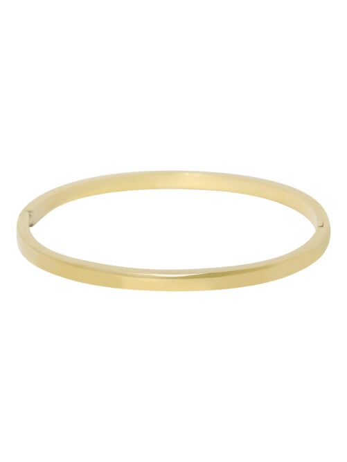 Gladde ovale bangle