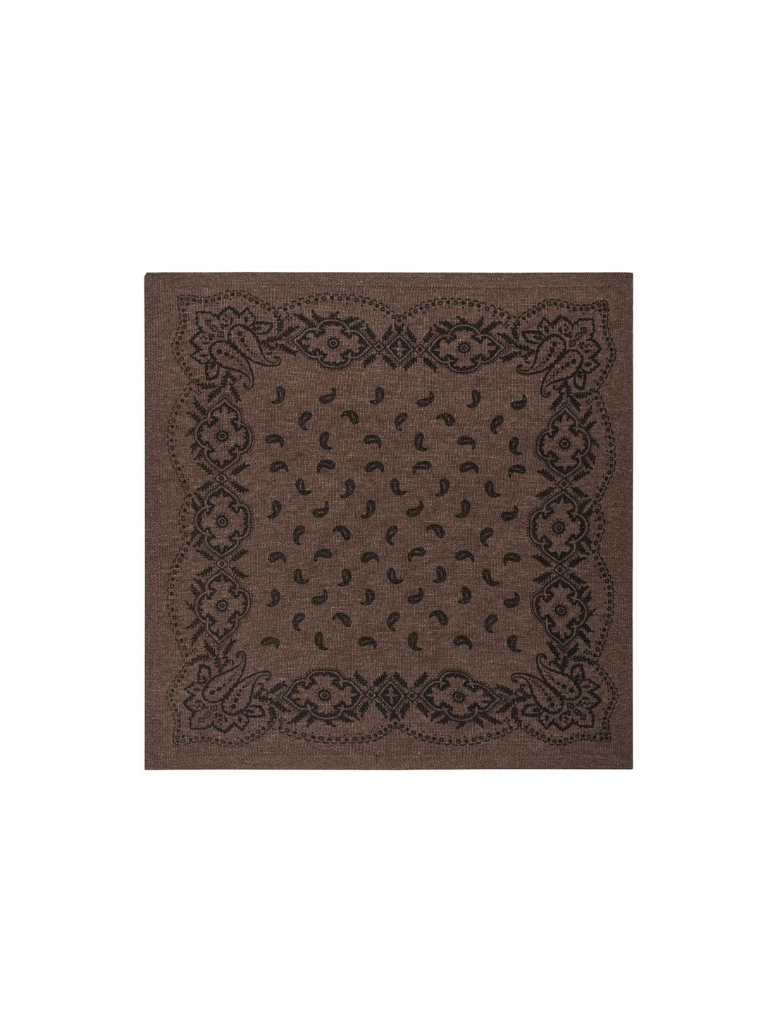 Adelina Paisley Knit Scarf - Brown Melange