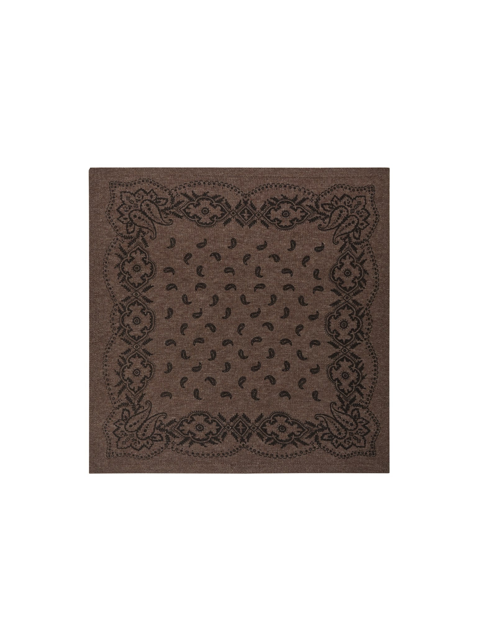 Adelina Paisley Knit Scarf - Brown Melange