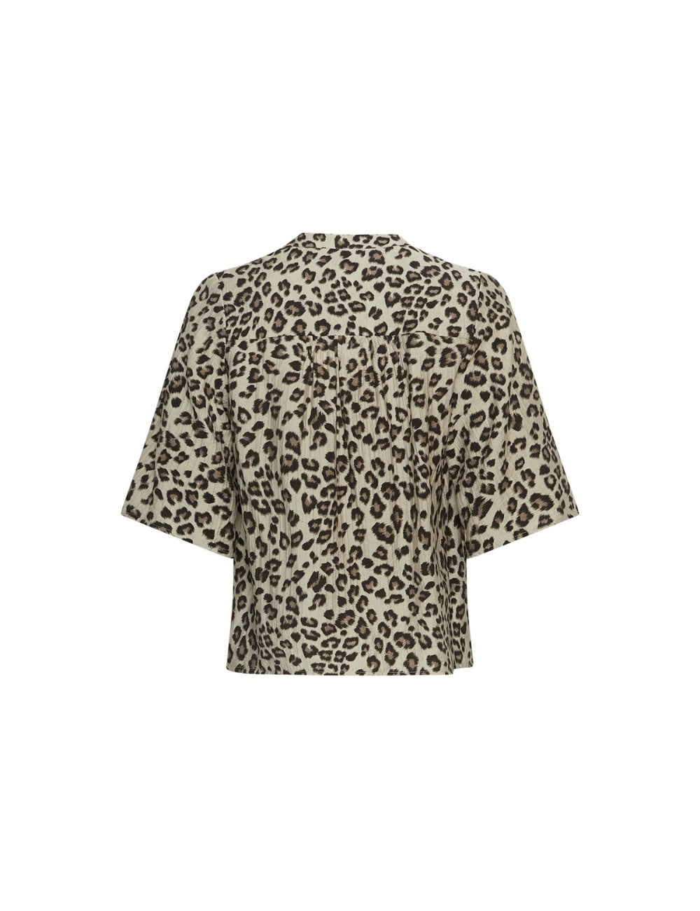 MschKalani Vlora 2/4 - Humus Leo