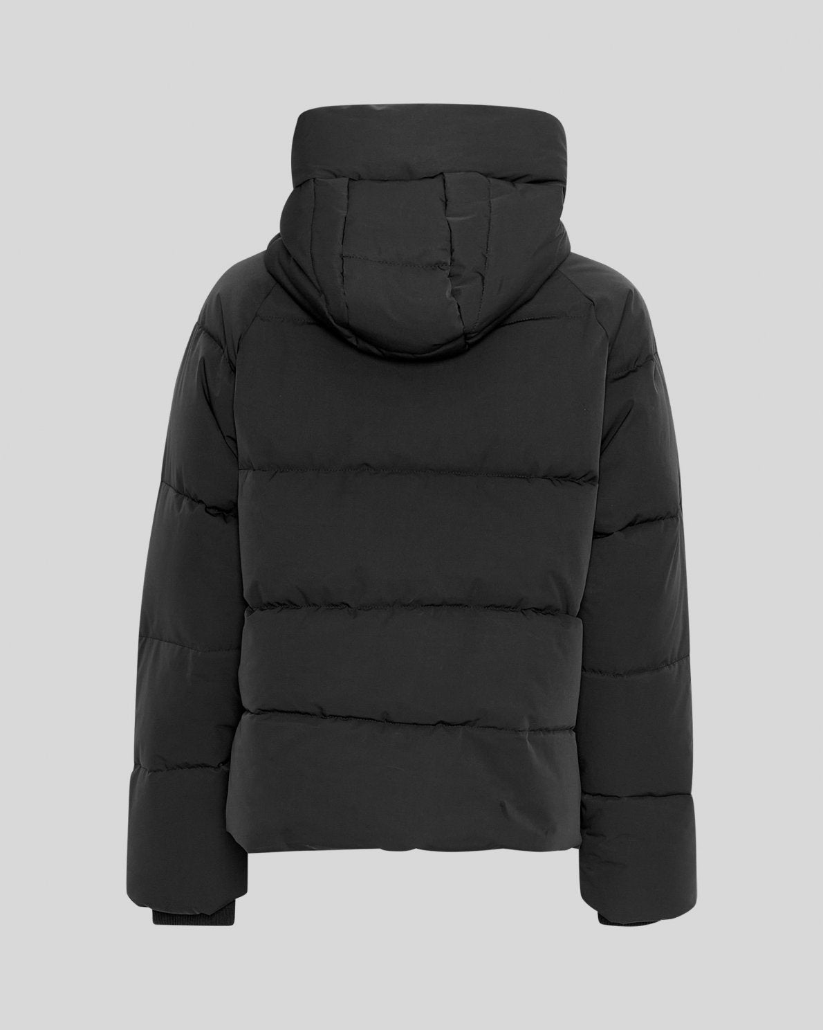MSCHPavinaria - Black