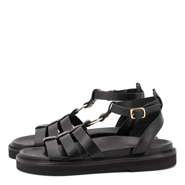 TL-Naxos - Negro