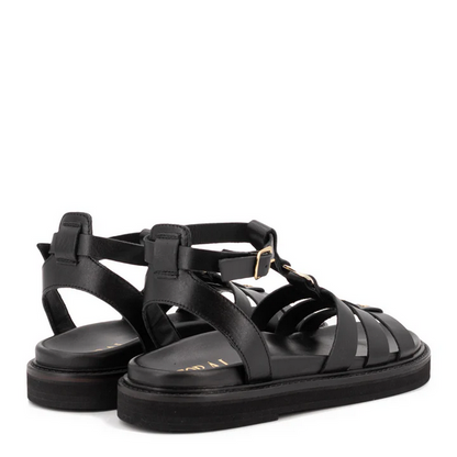 TL-Naxos - Negro